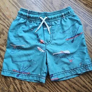 Teal blue swim trunks